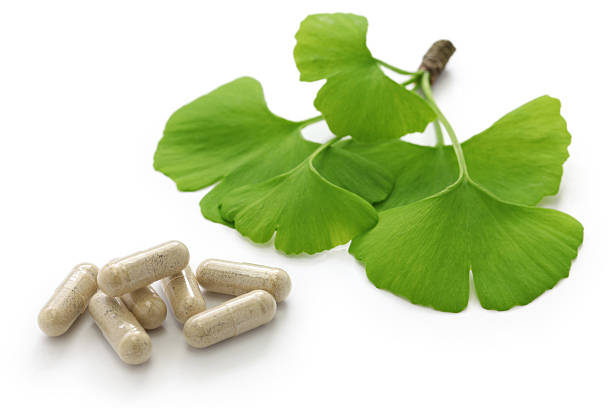 Ginkgo Biloba Propiedades