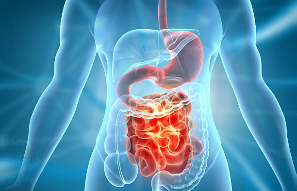 test de mirobiota intestinal