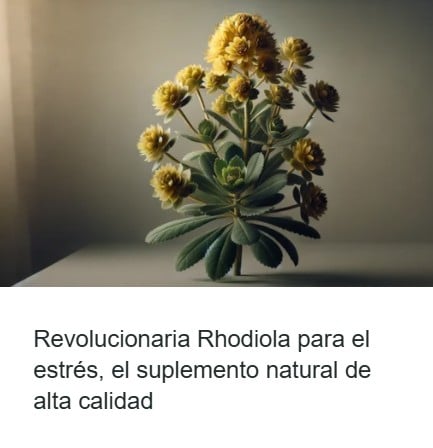 rhodiola para el estrés